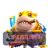 九游体育在线平台网前截击片段封面