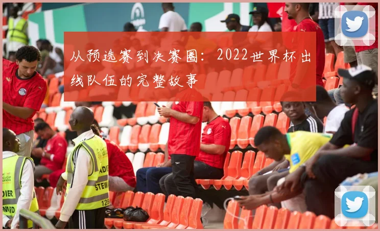 从预选赛到决赛圈：2022世界杯出线队伍的完整故事