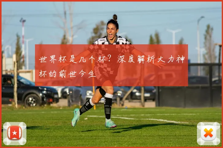 世界杯是几个杯？深度解析大力神杯的前世今生