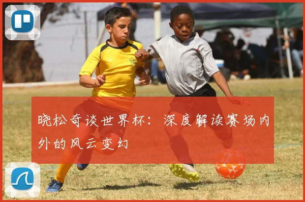 晓松奇谈世界杯:深度解读赛场内外的风云变幻