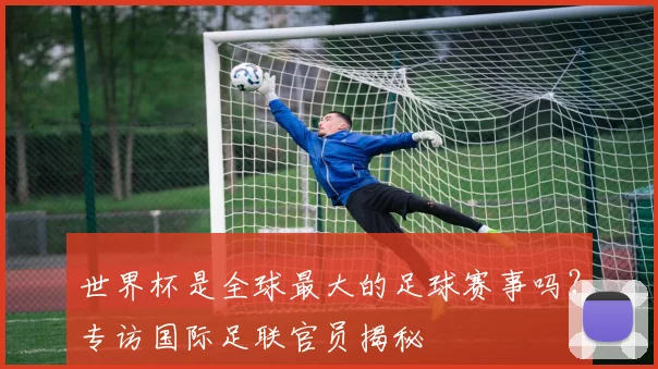 世界杯是全球最大的足球赛事吗？专访国际足联官员揭秘