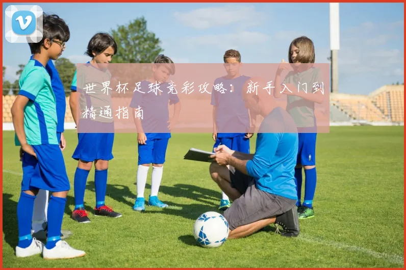 世界杯足球竞彩攻略:新手入门到精通指南