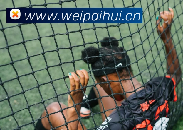 多媒体互动体验